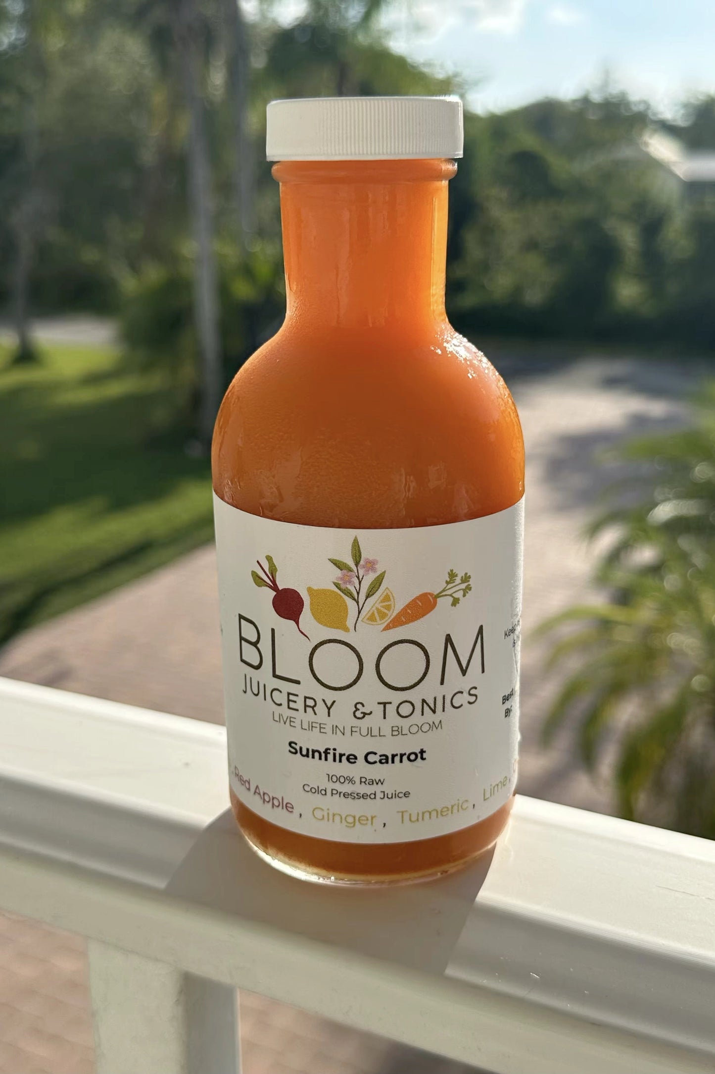 Bottle of Bloom Juicery & Tonics Sunfire Carrot juice on a ledge with a blurred outdoor background